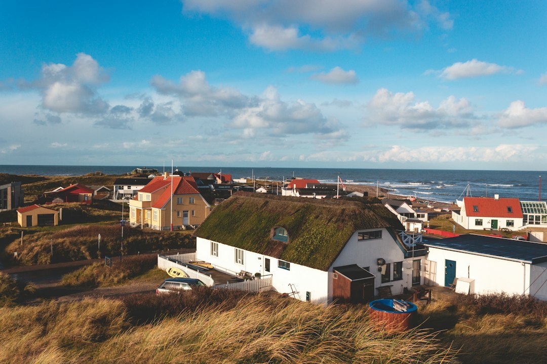 group of artists in danish village