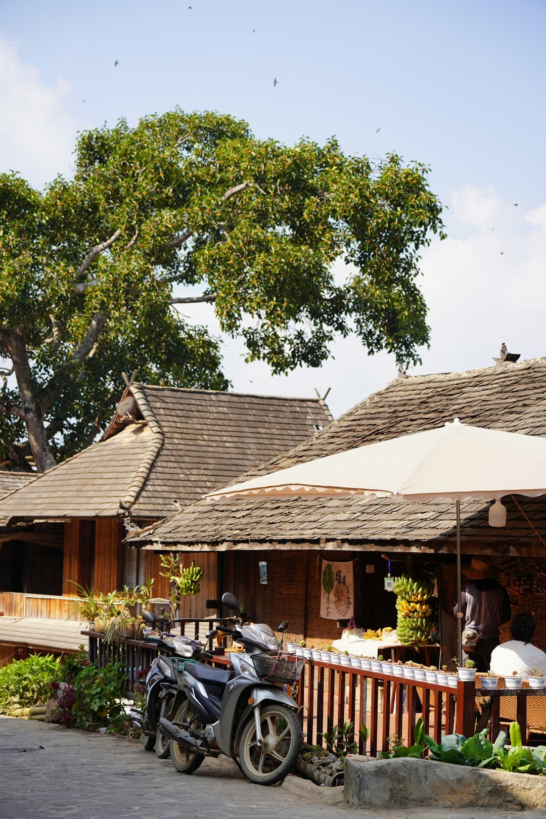 cafe owner in village
