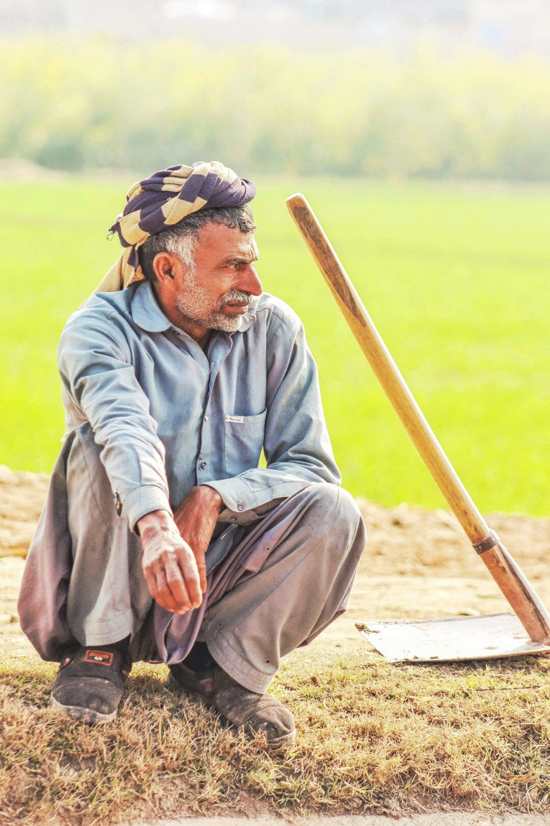 elderly farmer in field