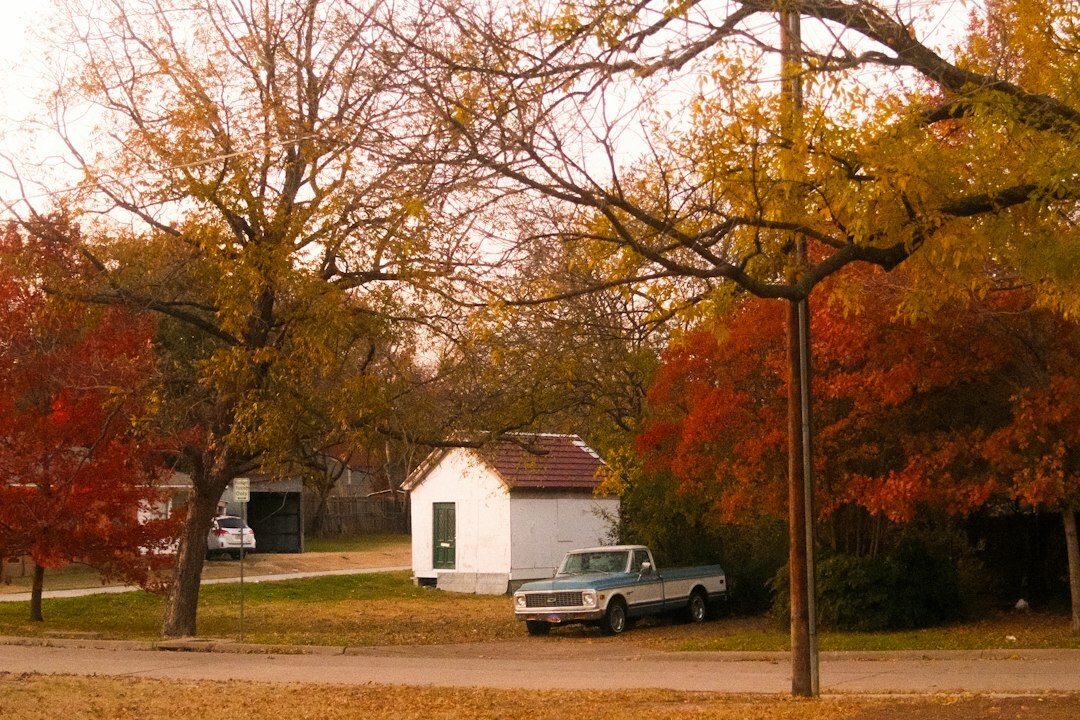 aesthetic suburban landscape